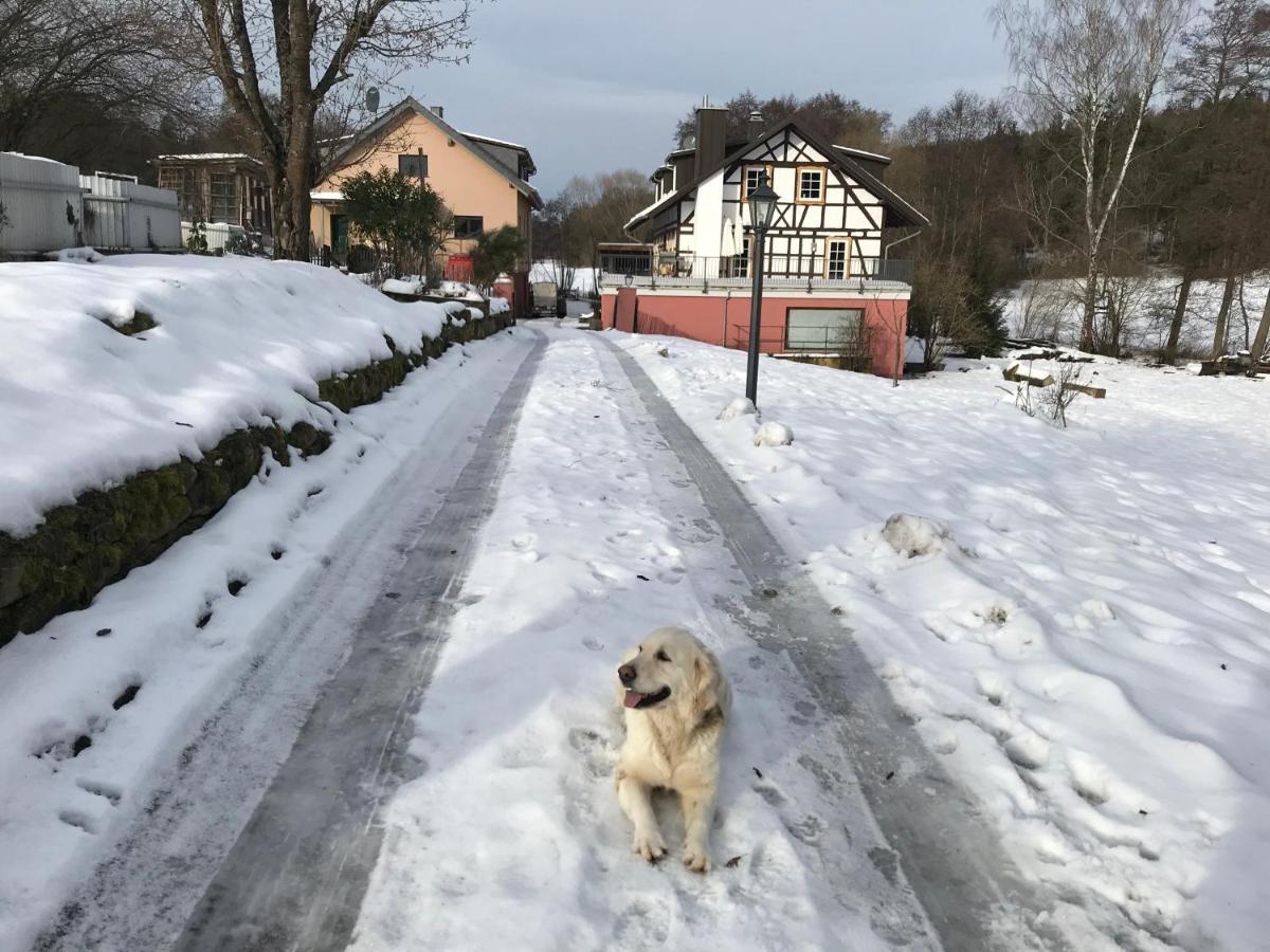 Ferienwohnungen Grundmuehle Nordheim vor der Rhön 外观 照片